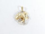 une photo d'un pendentif en or et en argent représentant une tête de lion