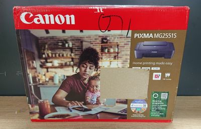 Imprimante Canon Pixma MG355S avec cartouches d'encre