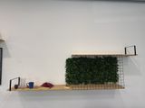 a shelf with a plant on it and a picture on the wall