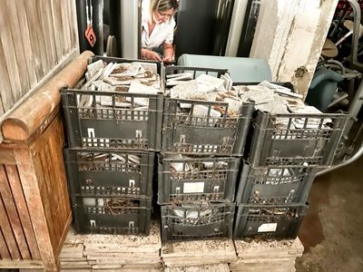a woman that is standing in front of a stack of crates