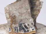 an image of a piece of rock on a piece of wood