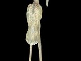 statue of a bird with a long neck and legs on a black background