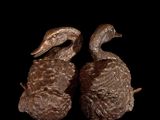 pair of bronze ducks sitting on top of a rock on a black background