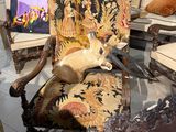 un chat assis sur une chaise au milieu d'une pièce