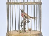 un oiseau en cage posé sur une table