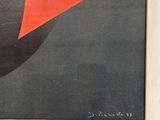 an image of a painting of a red and black object in a white frame