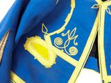 a close up of a blue coat with yellow trim