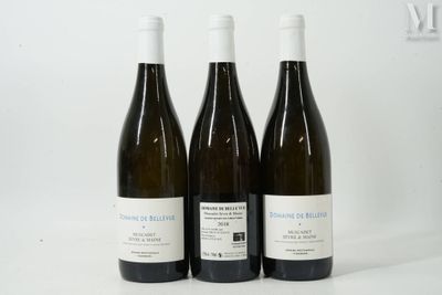 trois bouteilles de vin posées sur une table blanche