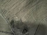 a close up of an elephant ' s head with its tusks