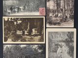 plusieurs anciennes cartes postales représentant des personnes et des animaux dans un environnement boisé