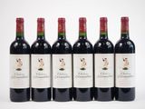 six bouteilles de vin rouge alignées sur une surface blanche