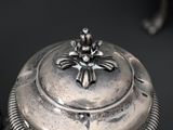 a silver pot with a flower on top of it