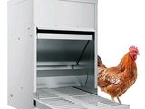 a chicken that is standing next to an open door