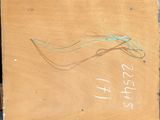 a drawing of a fish on a piece of cardboard