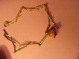 une rose posée sur la table à côté d'un bracelet