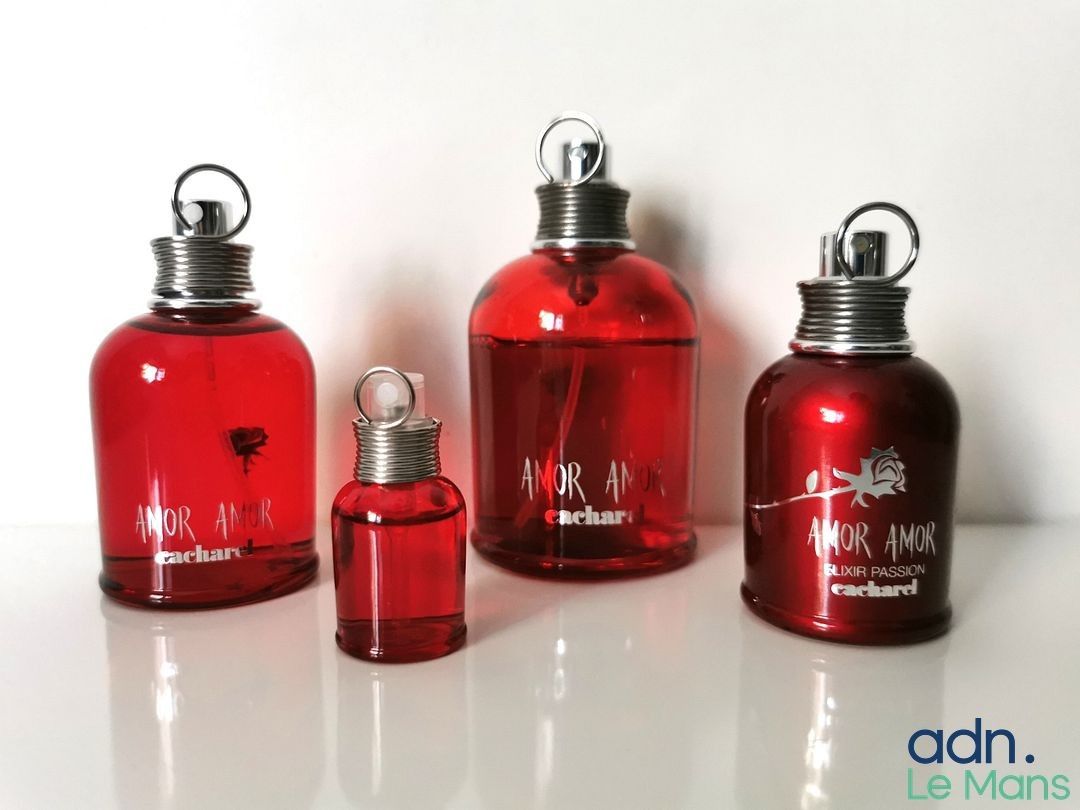 Objets d'art & Curiosités