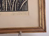 a picture of a picture of a plant in a picture frame
