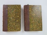 pair of antique leather bound books on a white background