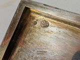 a turtle that is sitting on a metal tray
