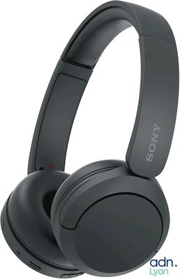 the sony headphones are black and have a built in microphone
