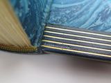 a close up of a book with a blue cover