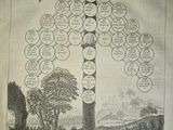 an image of a family tree with a lot of names