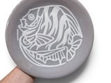a hand holding a plate with a fish design on it