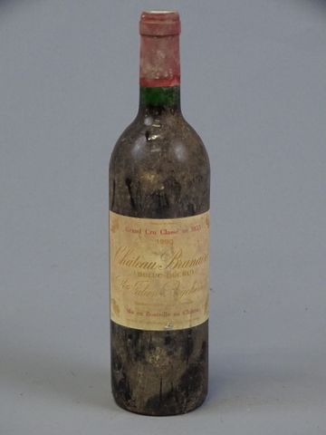 CHATEAU BRANAIRE, (DULUC DUCRU), St Julien Beychevelle, Grand cru...