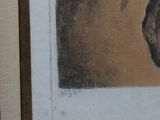 a picture of a horse in a frame on the wall