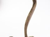 an antique brass cobra and a brass candle holder