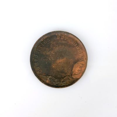 un gros plan d'un penny posé sur une surface blanche, avec un fond blanc