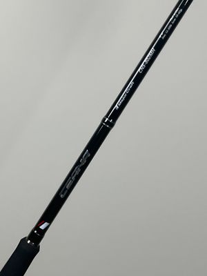 a close up of a fishing rod on a cloudy day