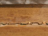 an image of a close up of a piece of wood with some writing on it