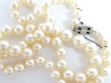 collier de perles blanches avec un fermoir en argent sur fond blanc