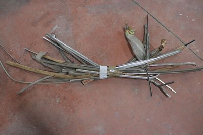 un tas de brindilles qui traînent par terre