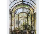 an image of a picture of a window in an old building