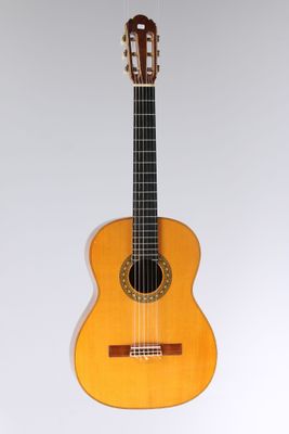 a close up of a guitar on a white background