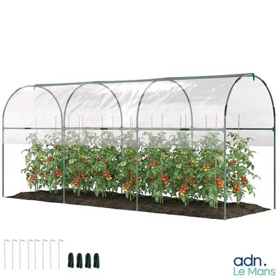 une serre dans laquelle poussent des tomates