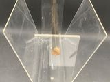 clear acrylic display case with a baseball and bat inside