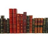 a lot of books that are lined up on a shelf