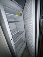G21: Armoire réfrigérée positive POLAR (photo 2)