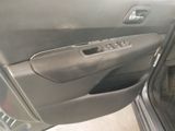 a car door handle with a cat in it
