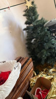 un chat assis dans une boîte à côté d'un sapin de Noël
