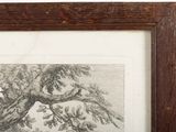 a picture of a picture of a tree in a picture frame