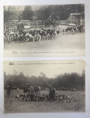 two old black and white photos of horses and dogs in a field