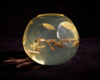 [ARTIFICIALIA] (photo 2)