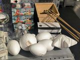 many different types of eggs on display in a store
