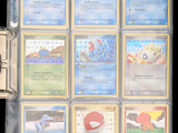 a lot of pokemon cards in a clear case