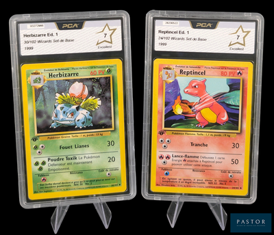 deux cartes Pokémon dans des pochettes en plastique sur un fond noir