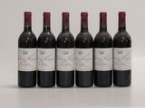 six bouteilles de vin rouge alignées sur une surface blanche